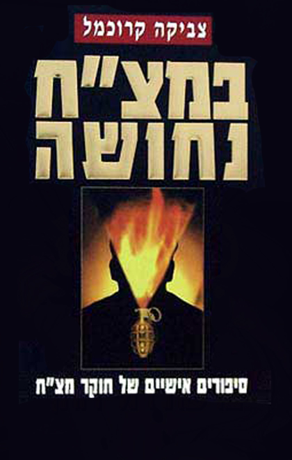 במצ"ח נחושה - סיפורים אישיים של חוקר מצ"ח